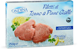 Filetti di tonno a pinne gialle surgelati