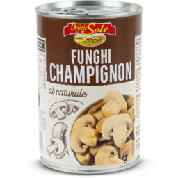 Funghi champignon