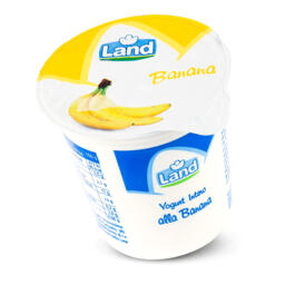 Yogurt intero alla banana