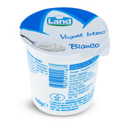 Yogurt intero bianco