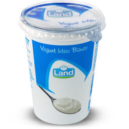 Yogurt intero bianco