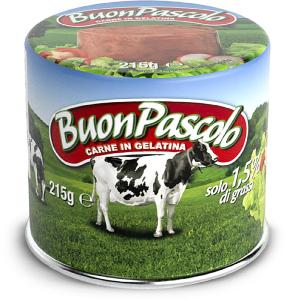Carne in gelatina