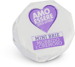 Formaggio brie mini senza lattosio