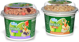 Bifidus mix con croccante vari gusti