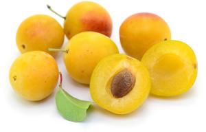 Susine gialle