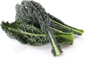 Cavolo nero