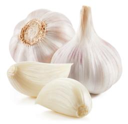 Aglio bianco