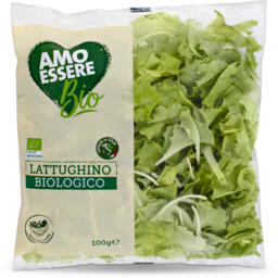 Insalata lattughino Bio