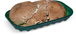 Funghi champignon crema portobello