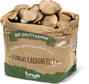 Balletta di funghi cardoncelli