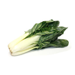 Coste
