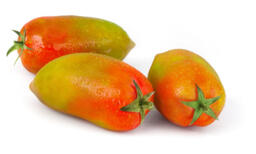 Pomodori perini insalatari