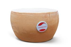 Formaggio duro italiano stagionato