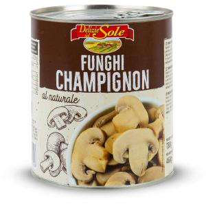 Funghi champignon