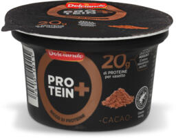 Budino proteico cacao