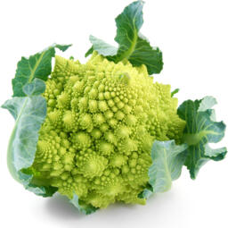 Cavolo romanesco