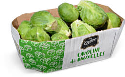 Cavolini di Bruxelles