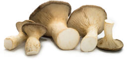 Funghi cardoncelli