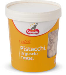 Pistacchi con guscio tostati e salati