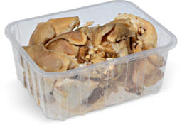 Funghi pleurotus